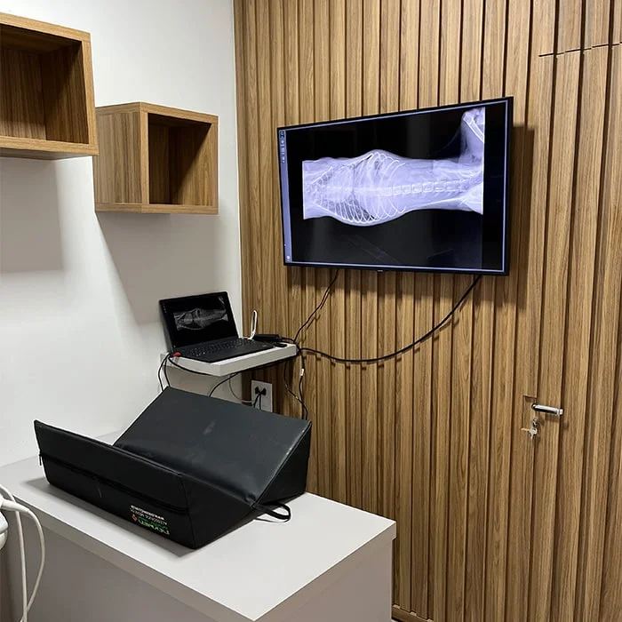 Suporte intensivo e cuidados críticos