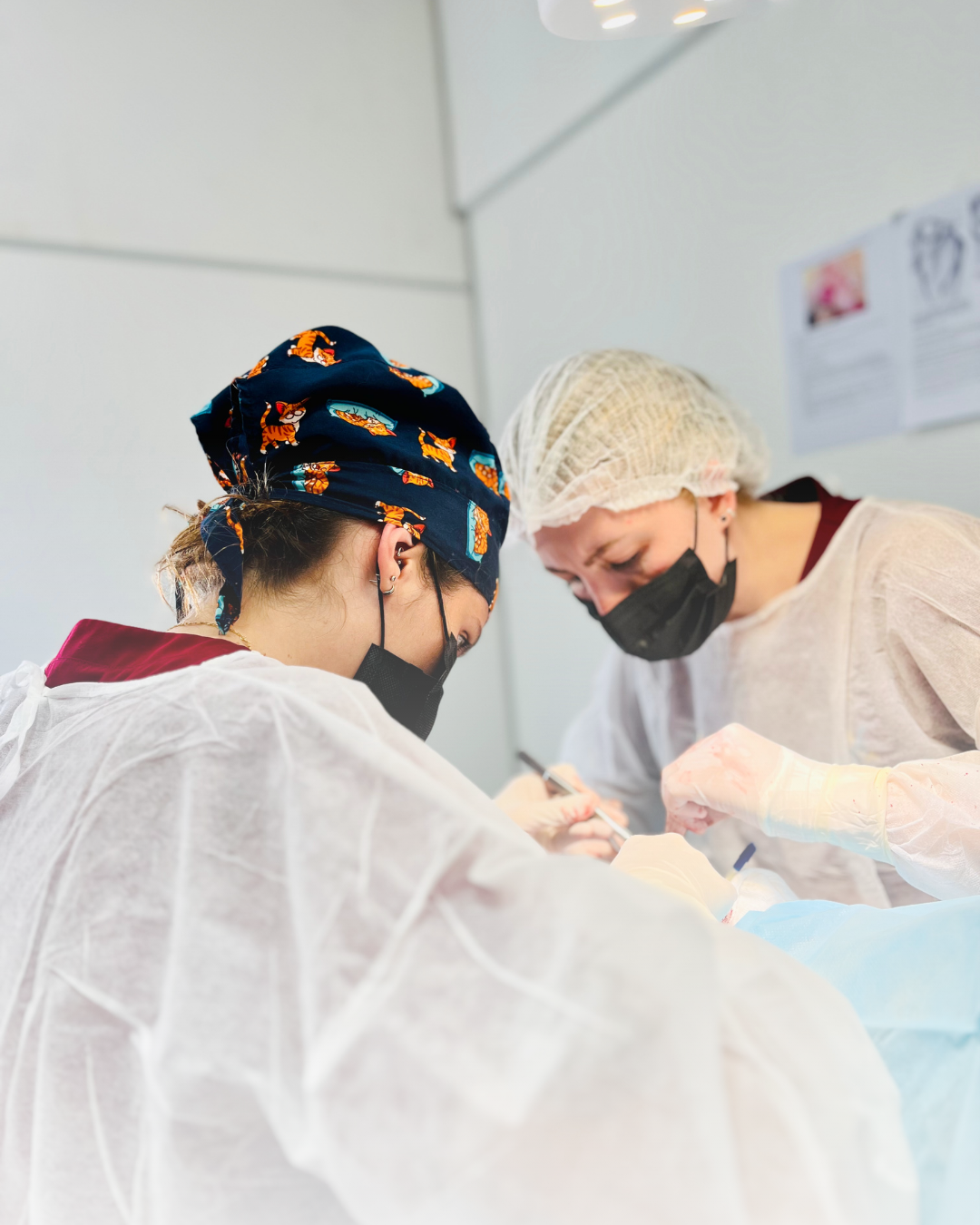 Estrutura para procedimentos e suporte hospitalar