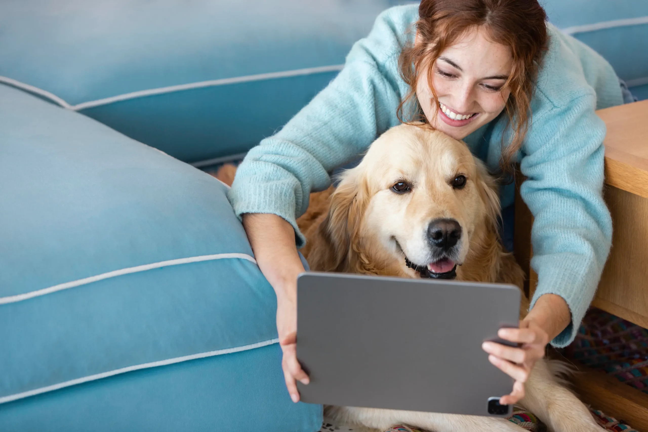 Consulta veterinária no VEX Hospital