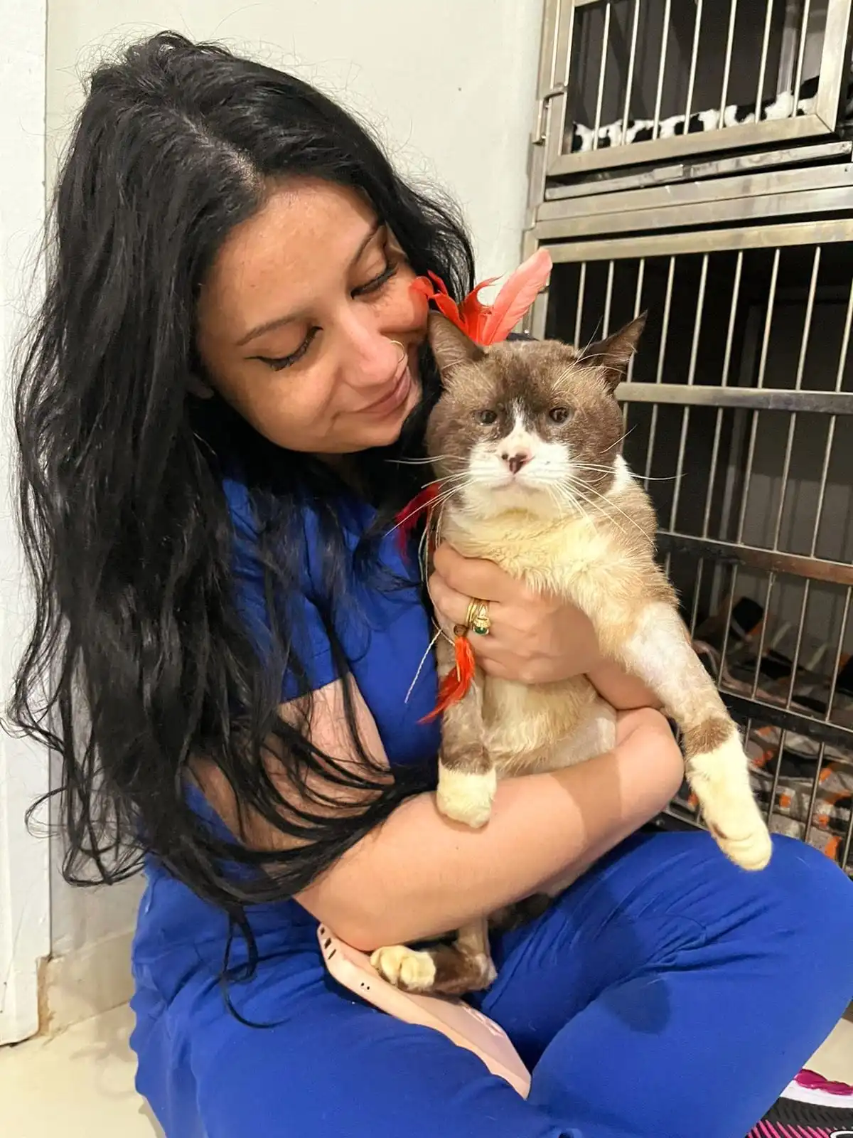 Anestesiologia Veterinária no VEX Hospital