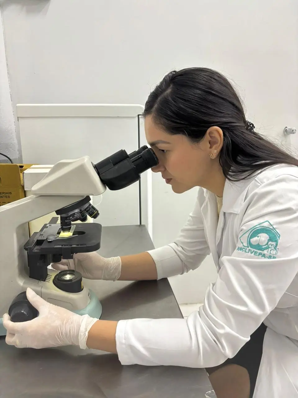 Dermatologia Veterinária no VEX Hospital