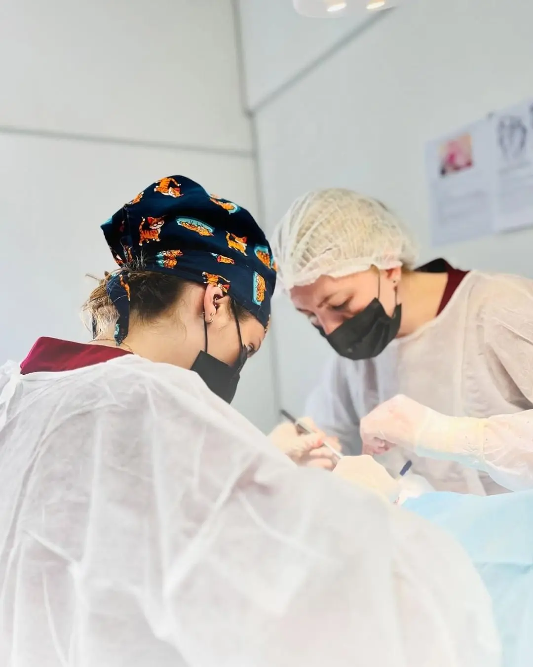 Oncologia Veterinária no VEX Hospital