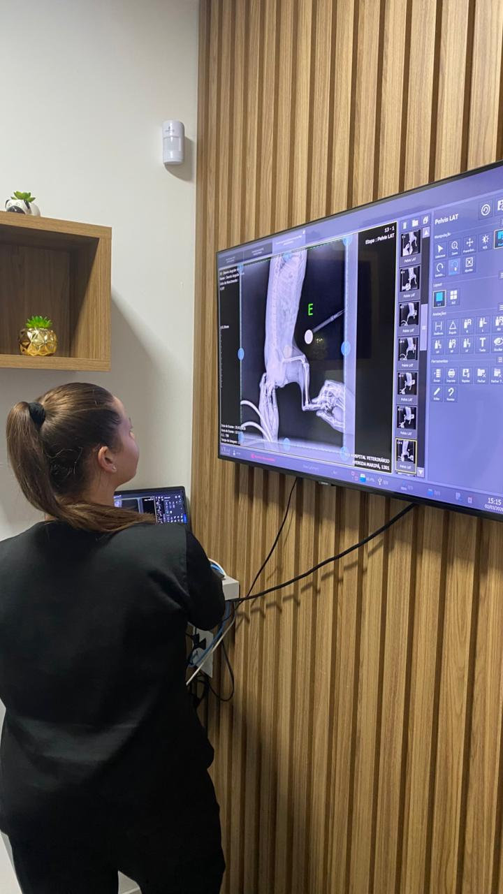 Ortopedia Veterinária no VEX Hospital