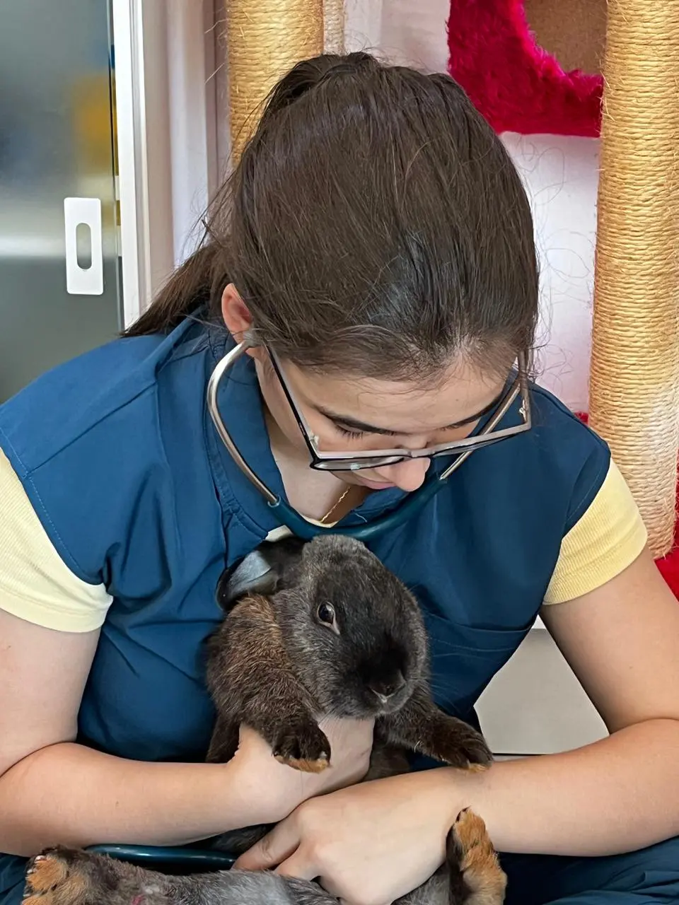Atendimento de Animais Silvestres no VEX Hospital