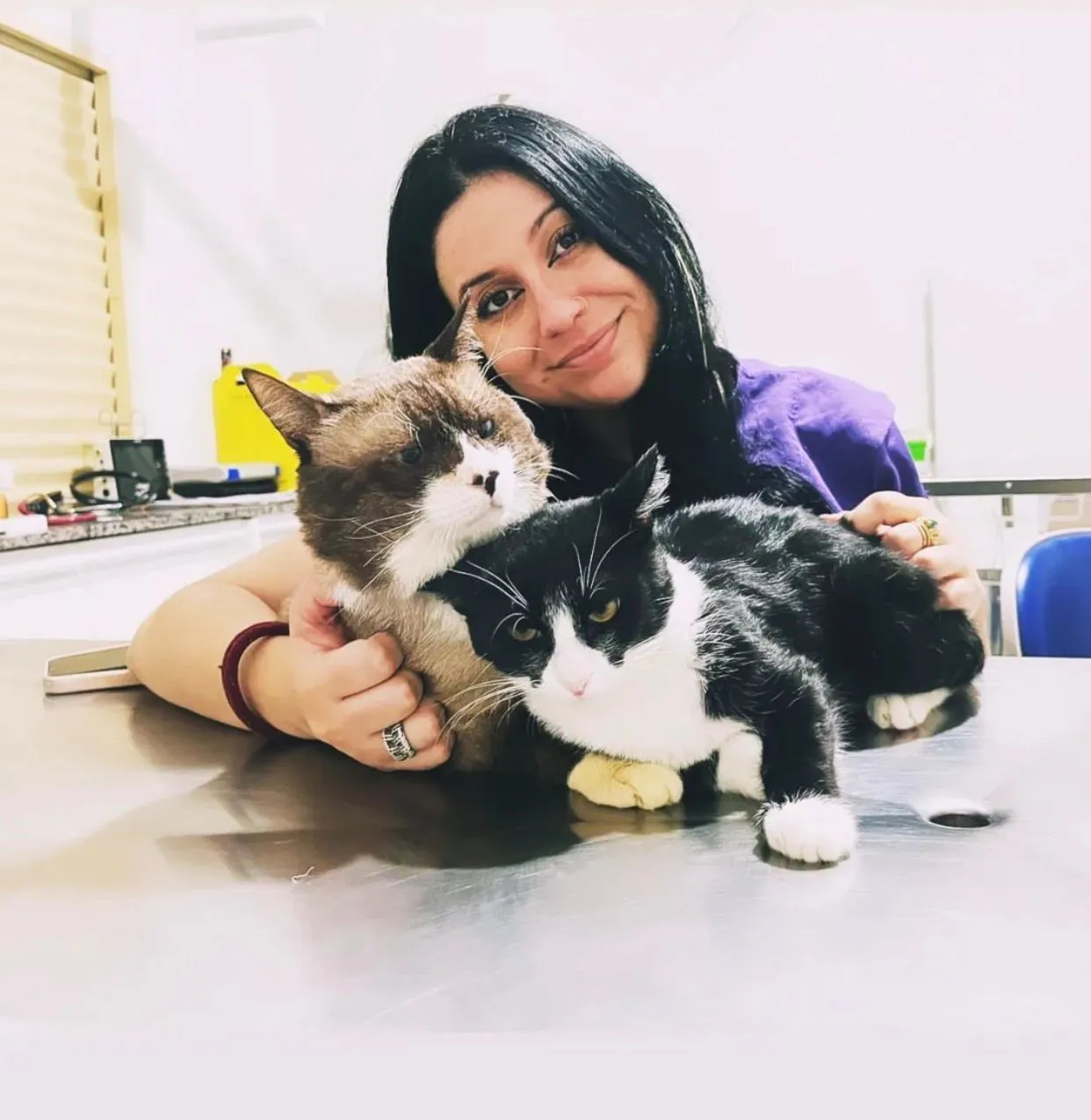 M.V. Raquel Jordana de Mello Pires de Carvalho - Anestesiologia Veterinária